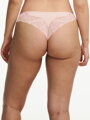 Tanga CHANTELLE (17Q9-08)