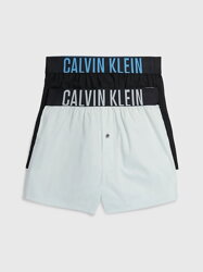 Trenýrky CALVIN KLEIN (NB2637A-25)