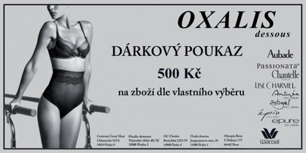 Dárkový poukaz 500 Kč